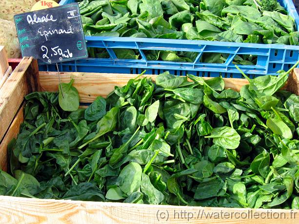 2007-05-12_08-39-03_Mai_55,1mm_1_160_eme_Canon PowerShot A95 